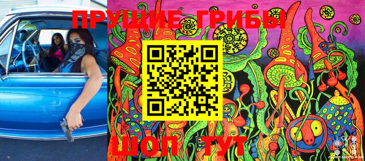 Псилоцибиновые грибы Psilocybe  Вход с VPN  Ипатово 
