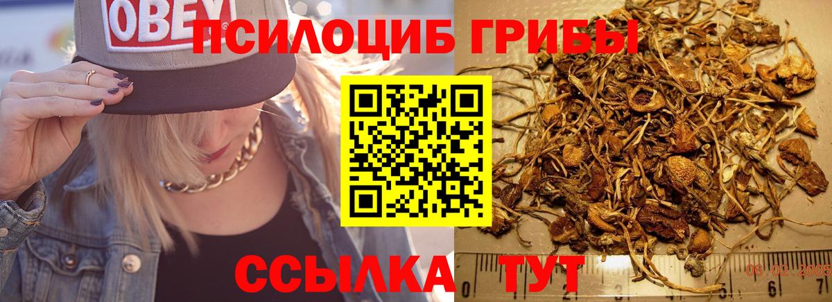 Галлюциногенные грибы прущие грибы Ипатово